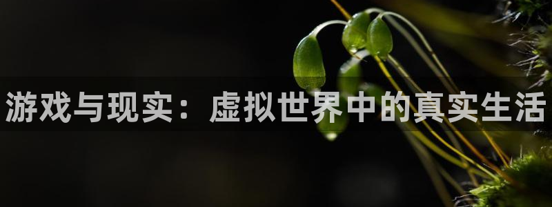 高德娱乐下载链接：游戏与现实：虚拟世界中的真实生活