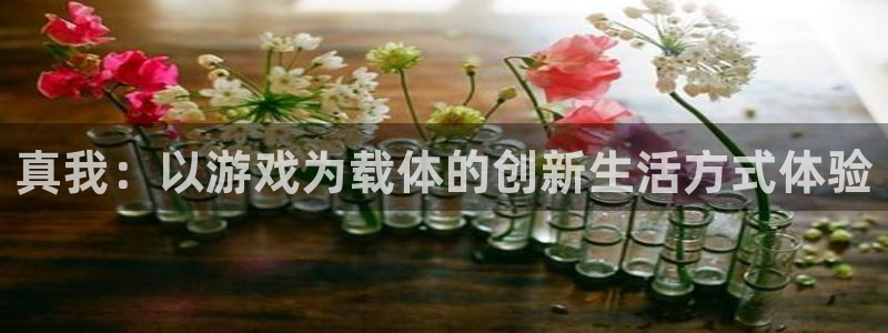 高德娱乐注册测速：真我：以游戏为载体的创新生活方式体验