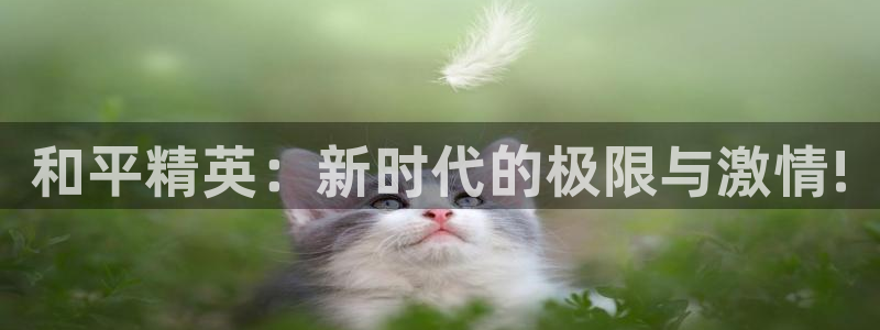 高德娱乐平台官方网站：和平精英：新时代的极限与激情!