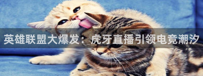 斗球直播app苹果下载安装：英雄联盟大爆发：虎牙直播引领电竞潮汐