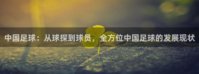 斗球体育网页版：中国足球：从球探到球员，全方位中国足球的发展现状