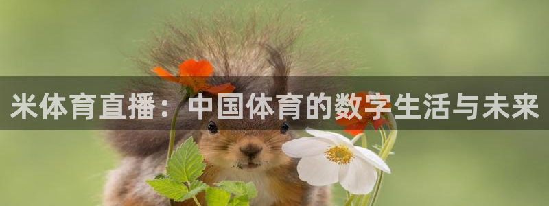 斗球体育直播app下载：米体育直播：中国体育的数字生活与未来