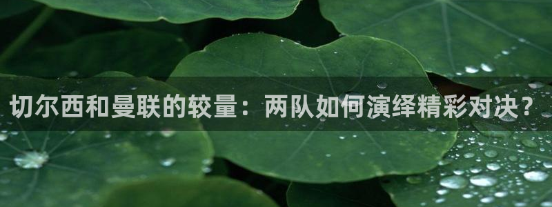 斗球直播nba：切尔西和曼联的较量：两队如何演绎精彩对决？