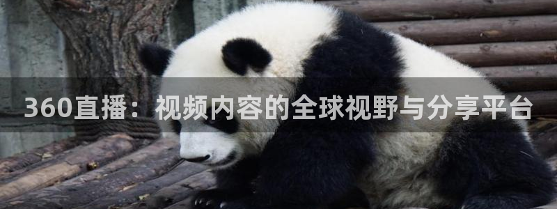 斗球在线直播免费观看直播：360直播：视频内容的全球视野与分享平台