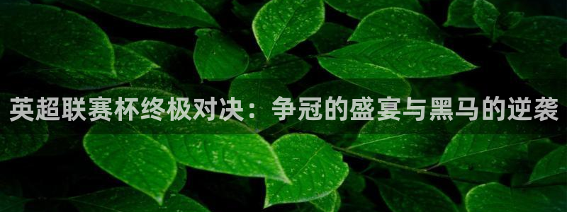 斗球直播v2.0.1下载：英超联赛杯终极对决：争冠的盛宴与黑马的逆袭