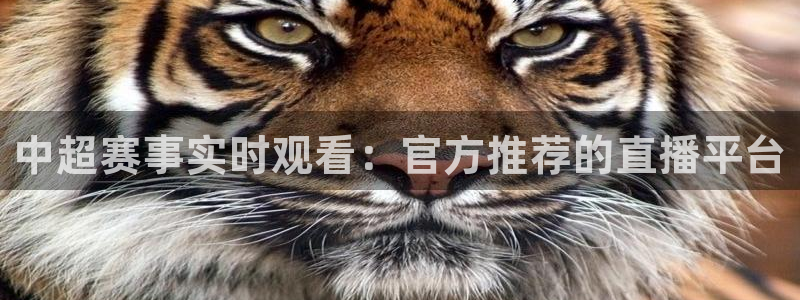 下载斗球体育app：中超赛事实时观看：官方推荐的直播平台